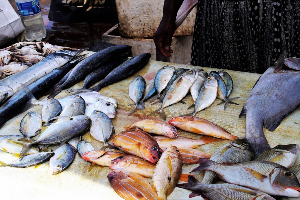 fish market, fish, seafood-3250721.jpg