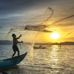 catfish farming