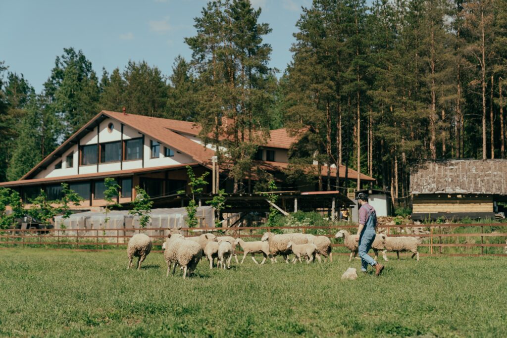 maintaining health on a homestead