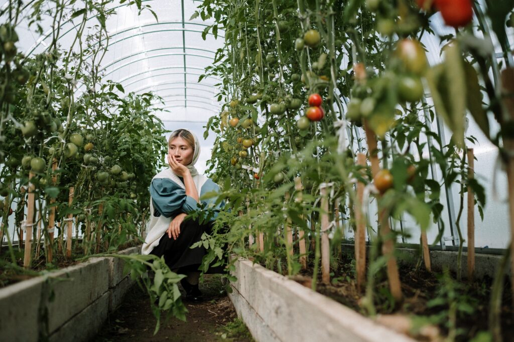 organic farming