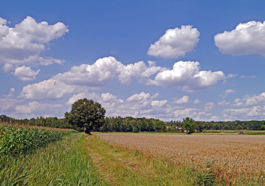 summer day, country, rural-1524892.jpg