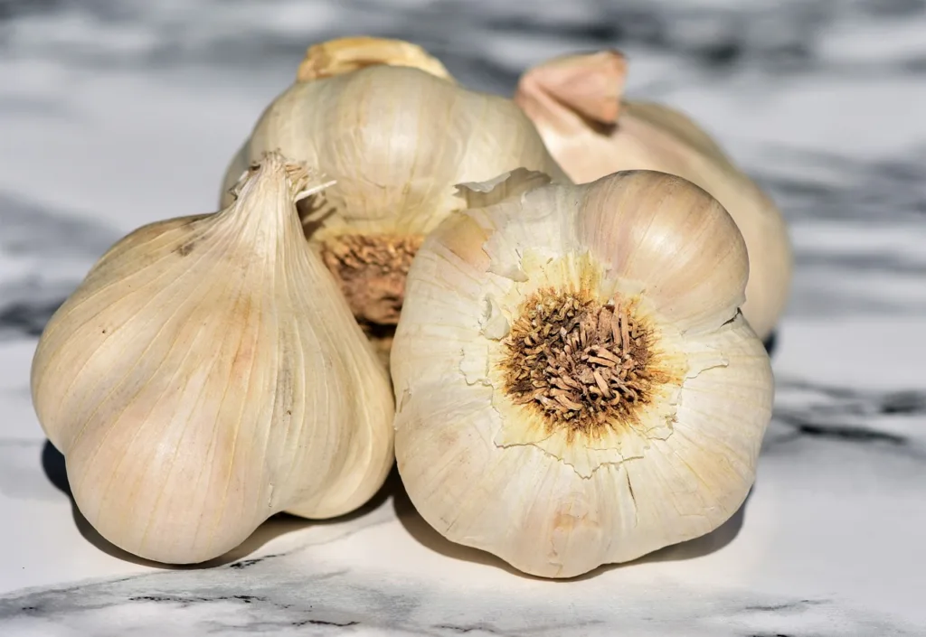 garlic, garlic bulb, vegetables-3478476.jpg