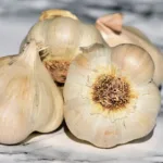 garlic, garlic bulb, vegetables-3478476.jpg