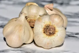 How to Grow Garlic: 6 Powerful Steps to Follow in Garlic Farming